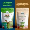 B12_Nirant_Ecom_Eng_1_1280x B12 Green Food + Nirant Churan Combo (100g + 100g)