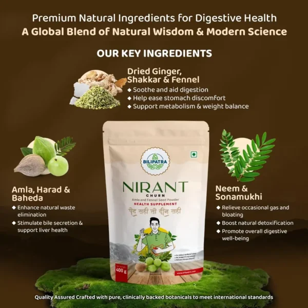 Nirant Churan - 400Gram